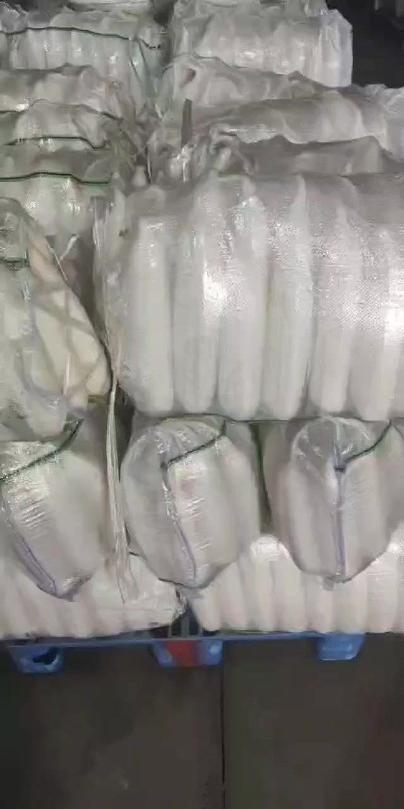 精品白萝卜