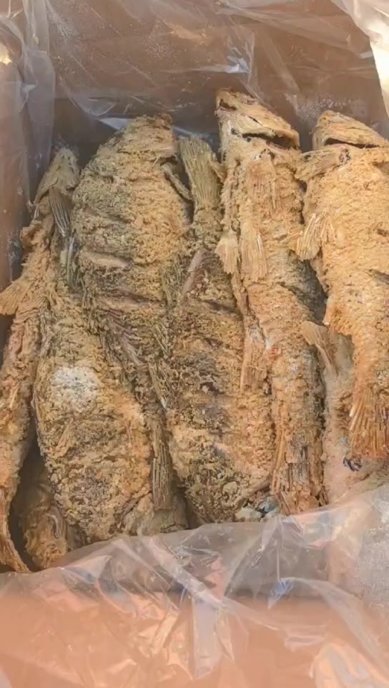 油炸大鲤鱼240一箱，一件14条，一条1.7-2斤