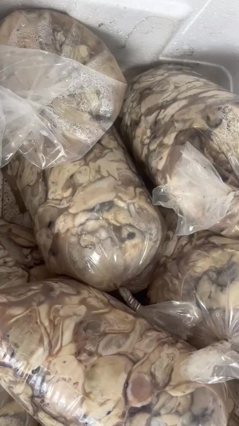 正宗乳山生蚝肉，13元一斤。