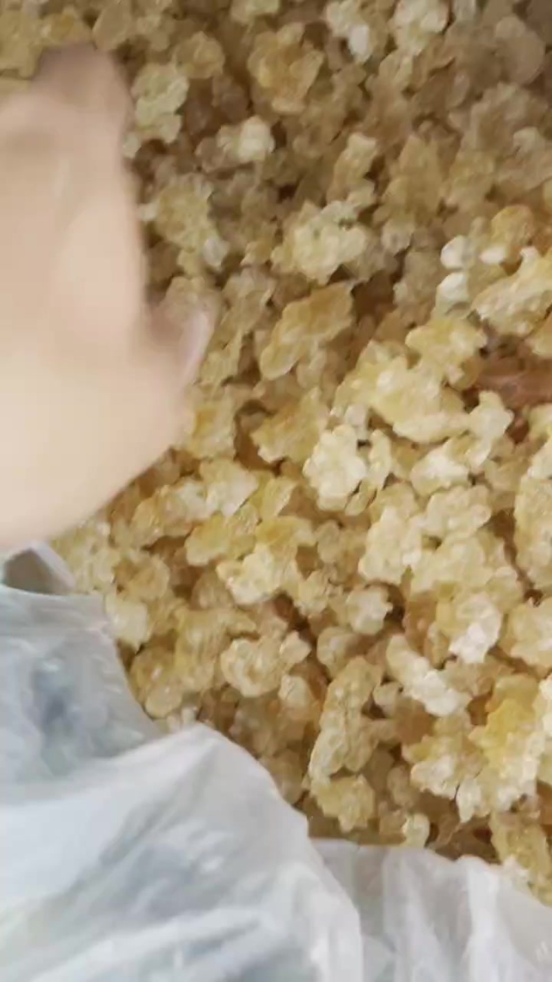 天然雪燕