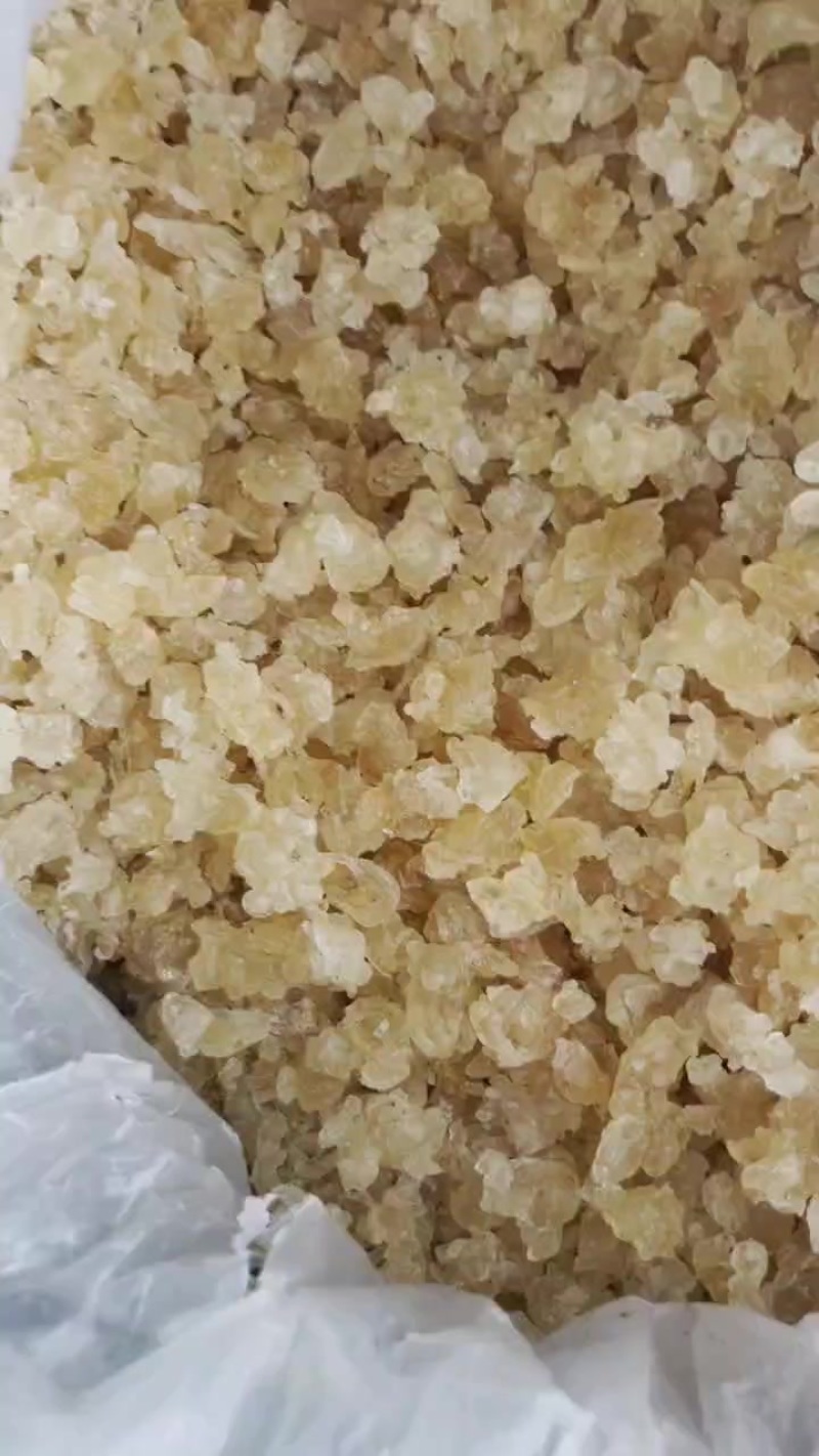 天然雪燕