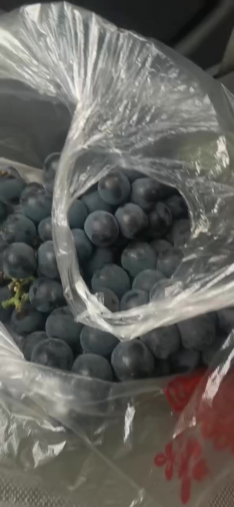 葡萄