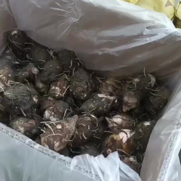 精品通货都有