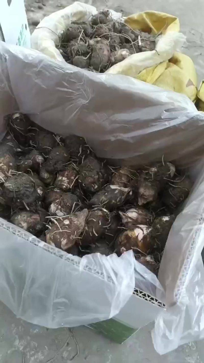 精品通货都有