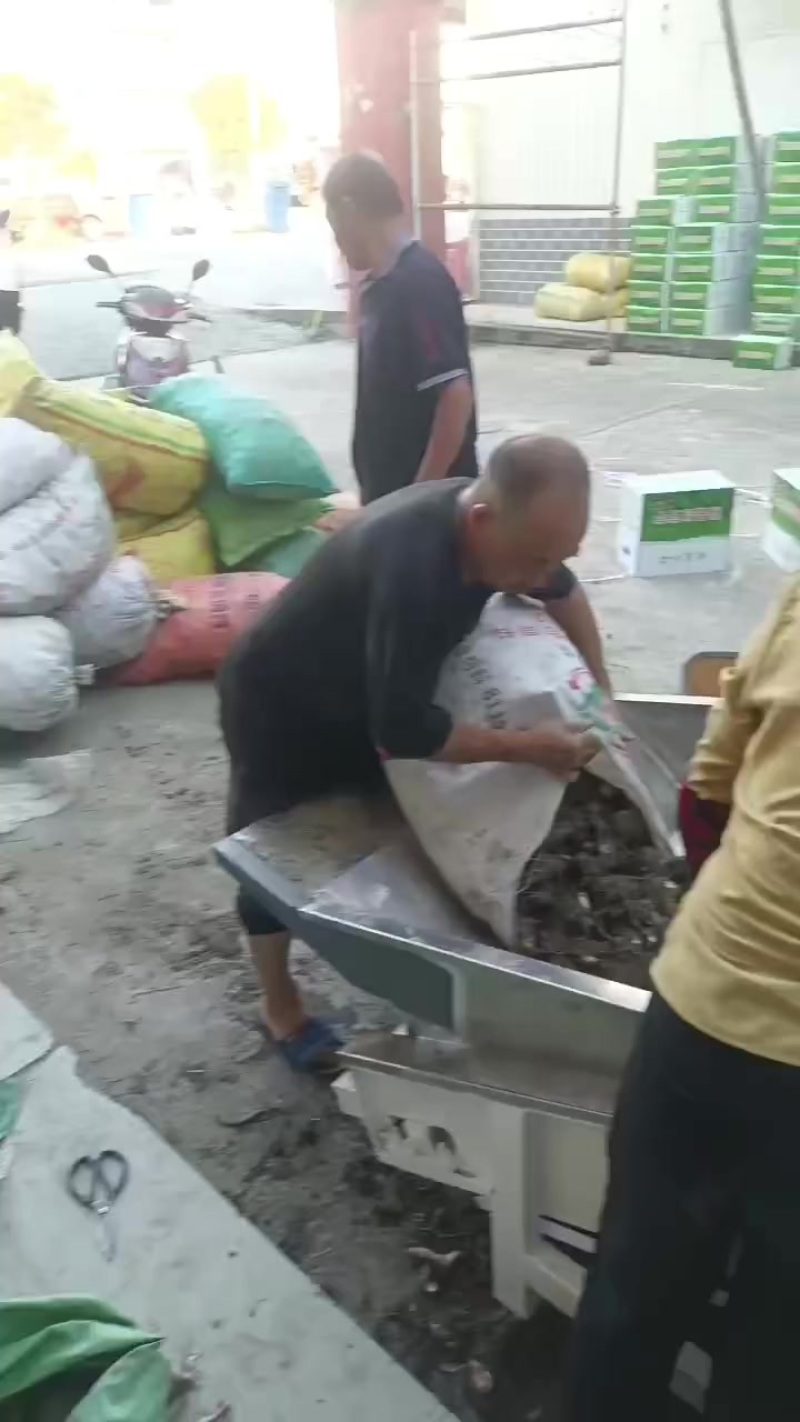 精品通货都有