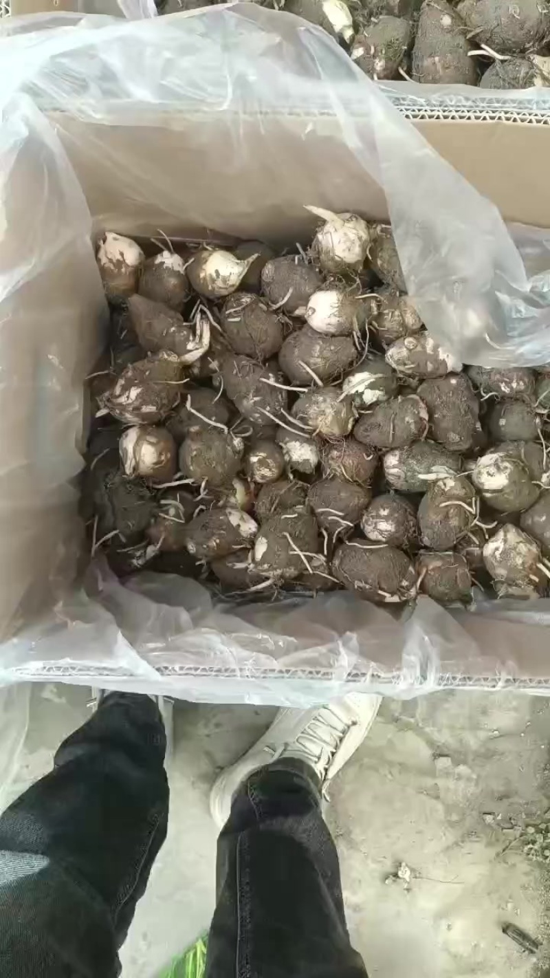 精品通货都有