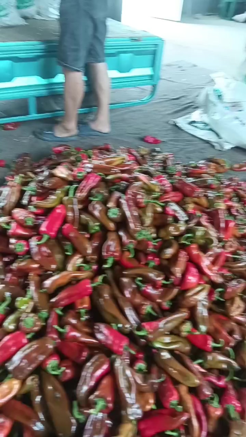辣椒