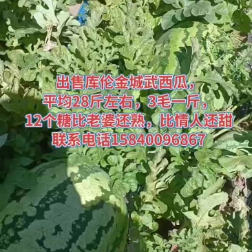 金城武西瓜
