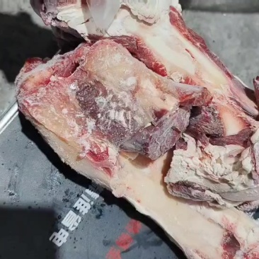 带筋牛腿骨
