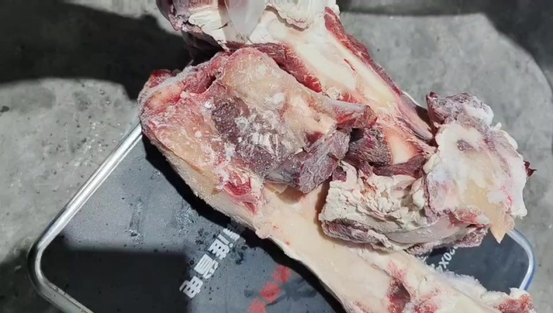 带筋牛腿骨