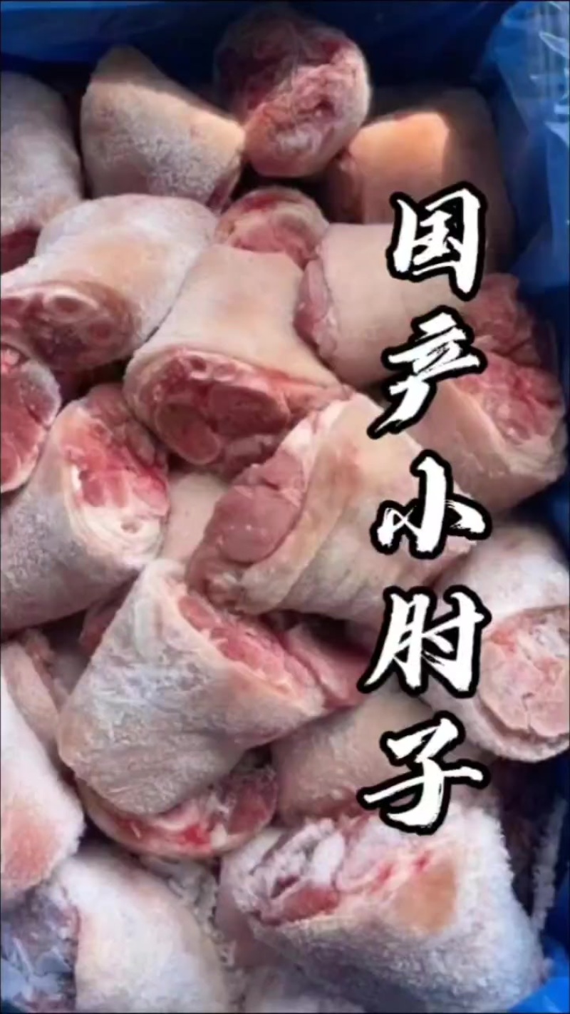 网红小肘子！一件20斤，单个1斤左右，纯干无毛大小均匀