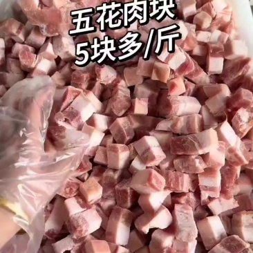 五花肉块！5.5一斤！快餐，食堂专用产品