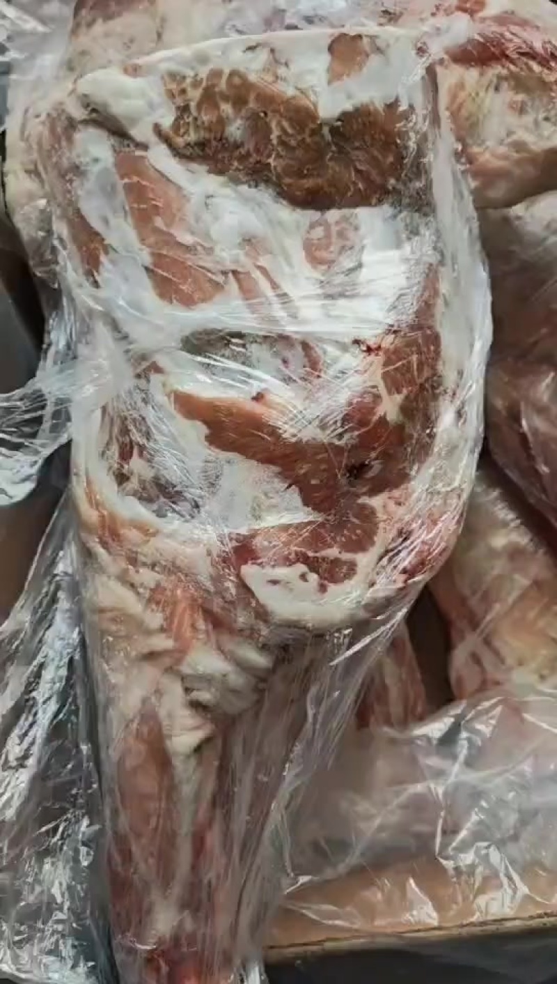 羊前腿