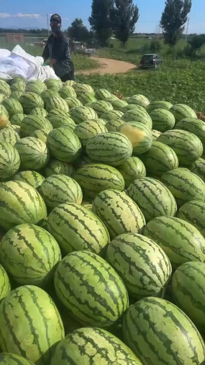 巴盟西瓜