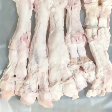 牛主筋