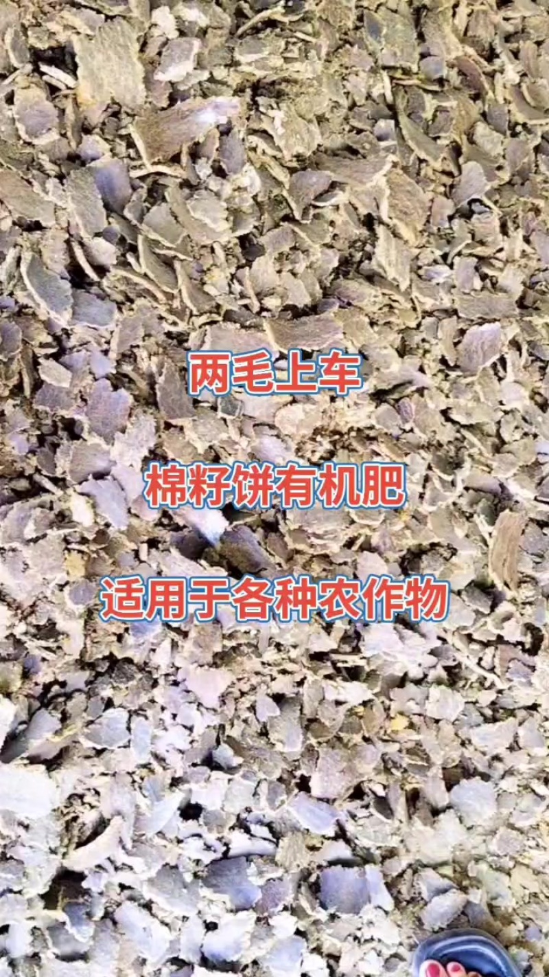 棉籽饼有机肥