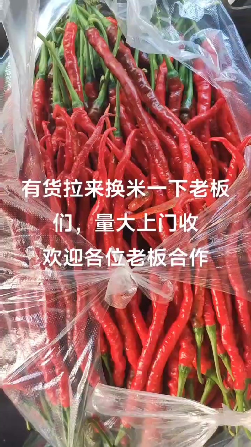 欢迎各位老板合作