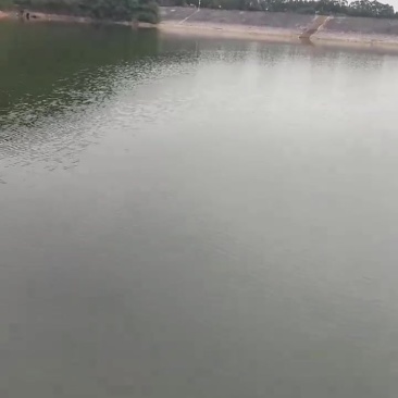 1500亩水库，清水养殖，剩余15年