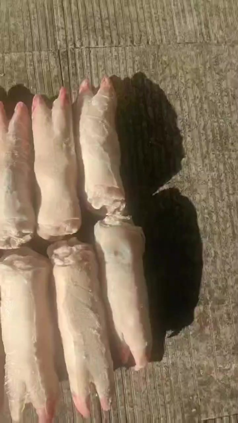 肥猪二级纯干二级蹄10kg15-17个新货