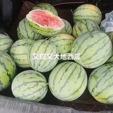 安徽省阜阳市颖上县陈桥镇卖西瓜