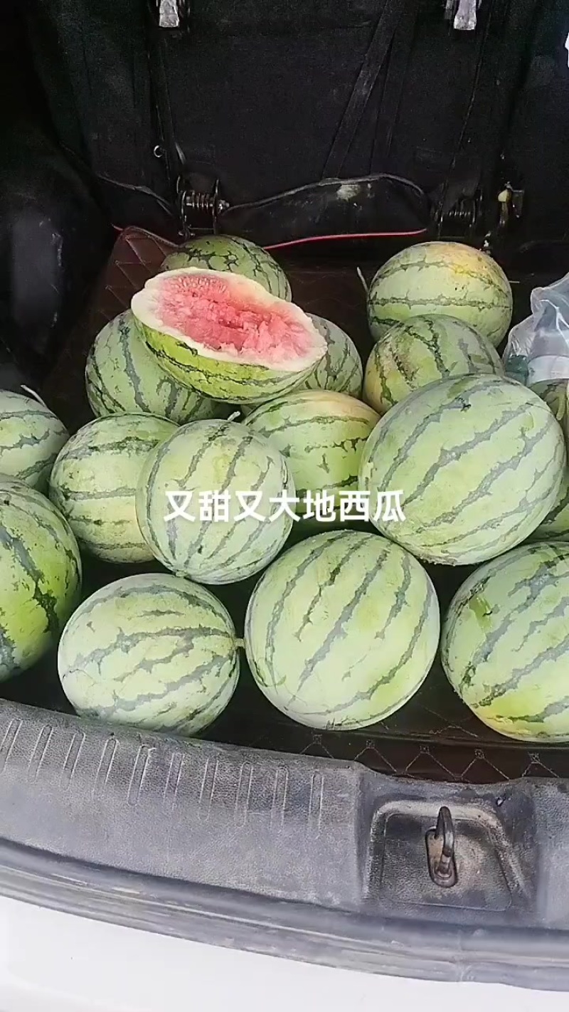 安徽省阜阳市颖上县陈桥镇卖西瓜