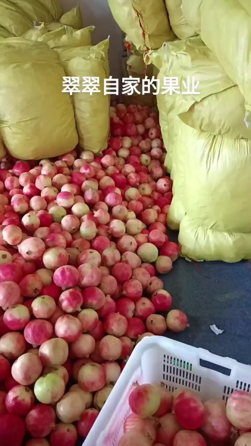 楚雄石榴
