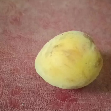 洋溪黄桃