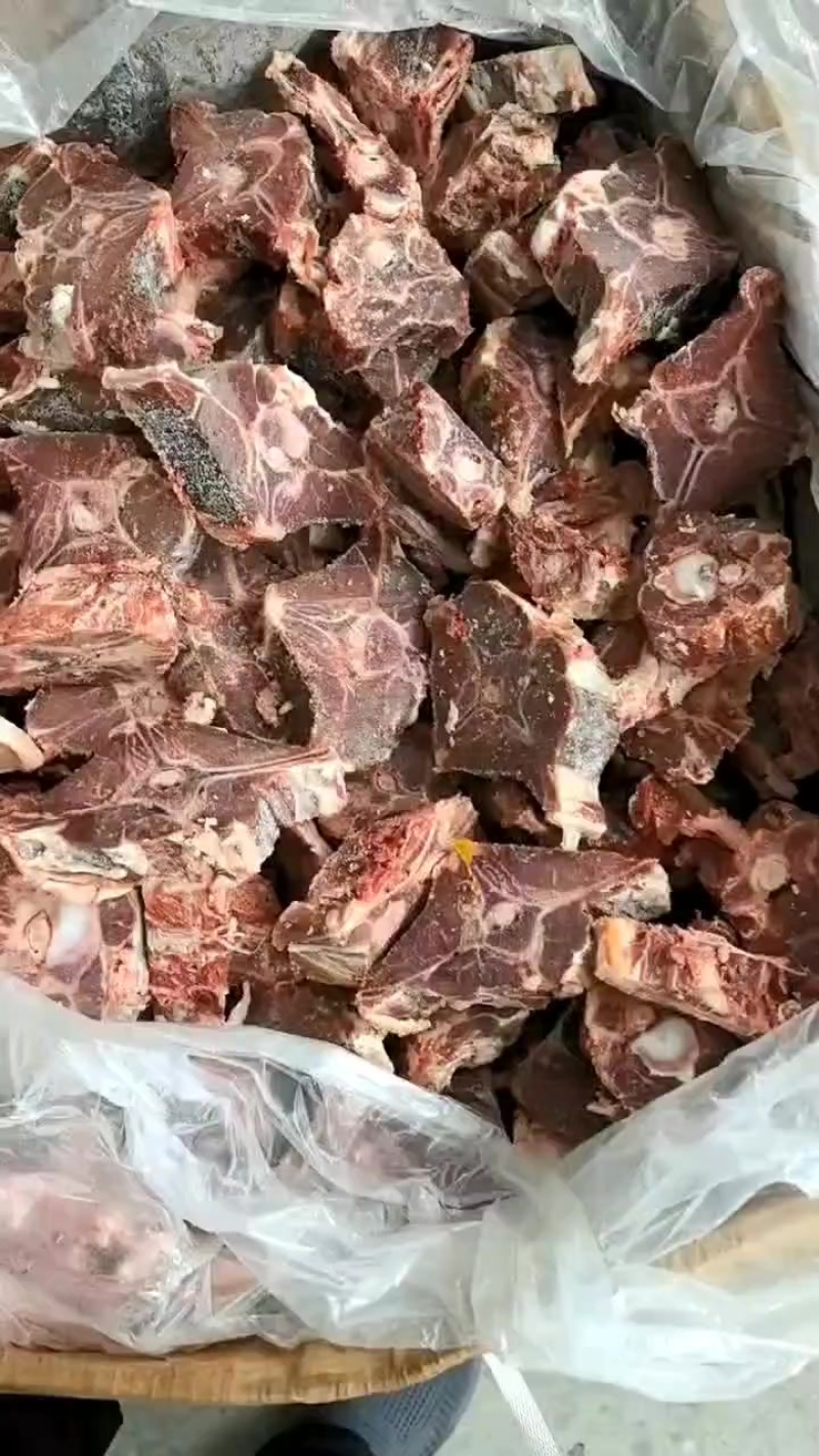 羊蝎子