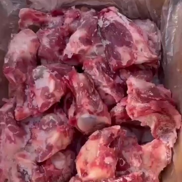 满肉猪前棒骨
