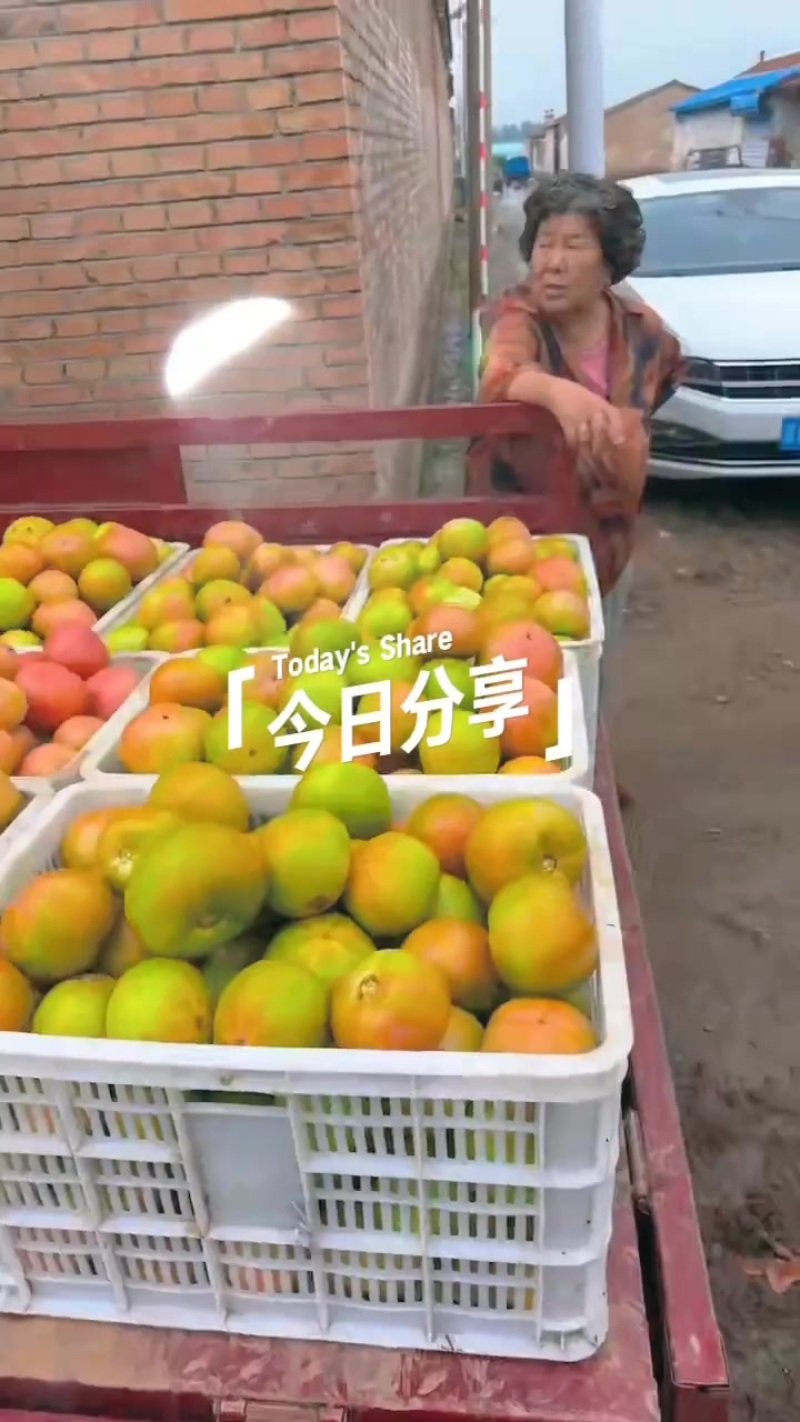 313精品口感