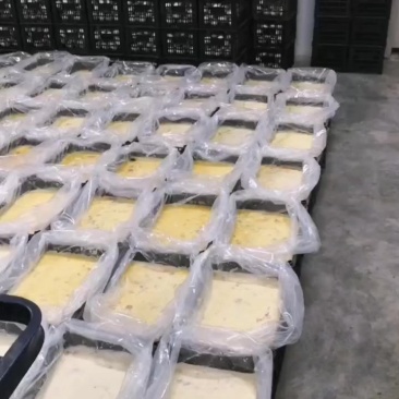 大量冷冻蛋液，量大优惠