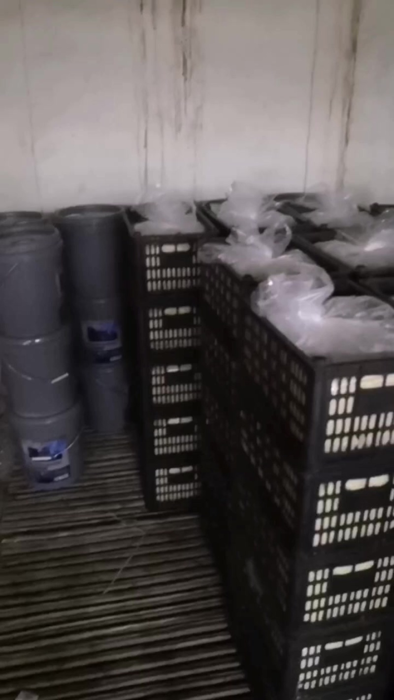 大量冷冻蛋液，量大优惠