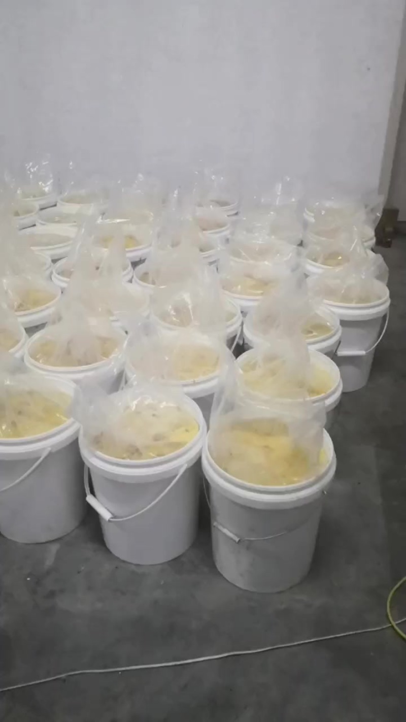 大量冷冻蛋液，量大优惠