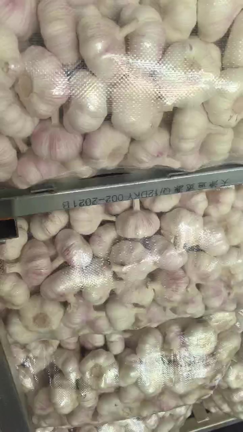 邳州大蒜