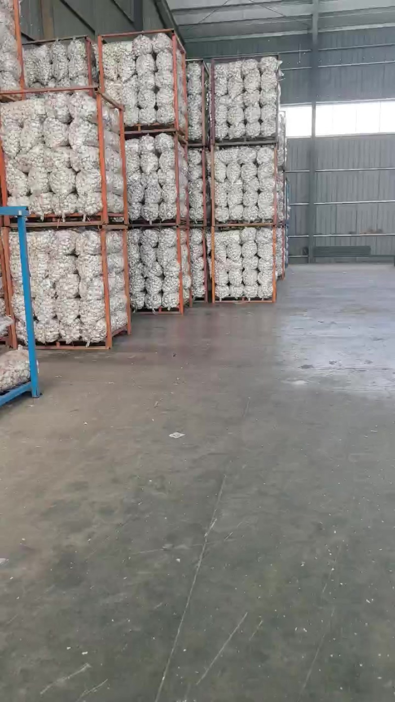 邳州大蒜