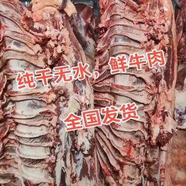 纯干无水，牛肋条
