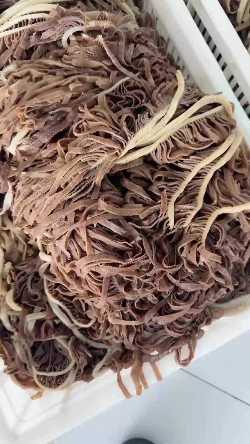 精品黑千