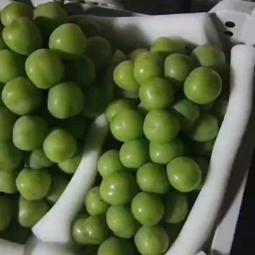 晴王