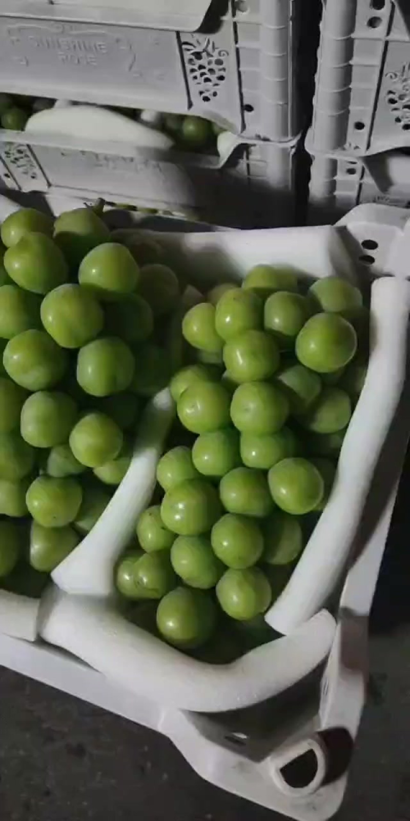 晴王