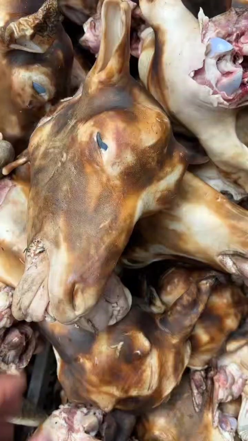 火烧羊头