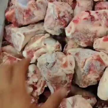 猪前腿骨
