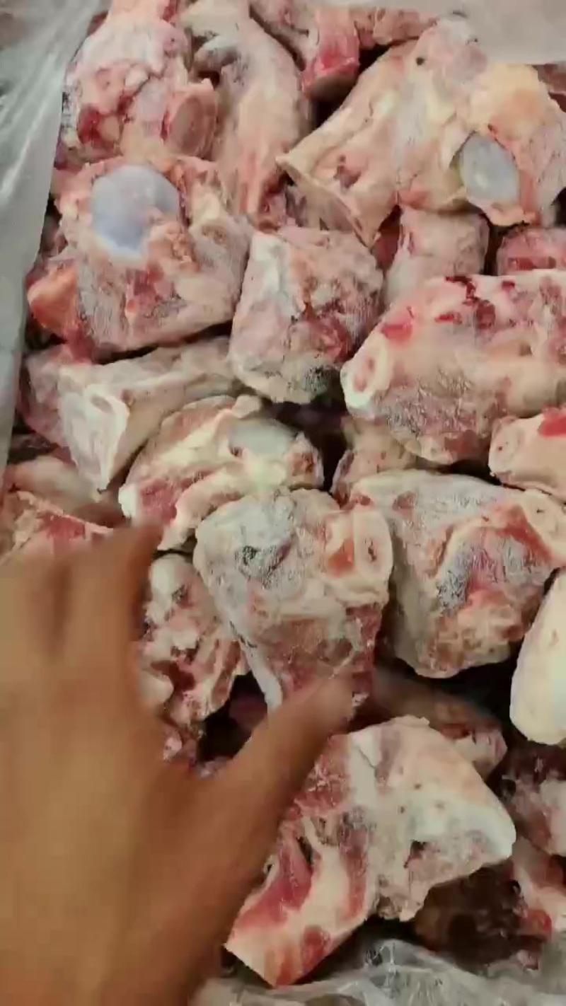 猪前腿骨