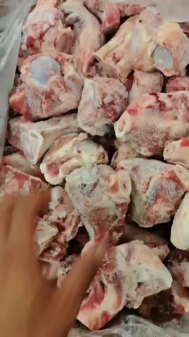猪前腿骨