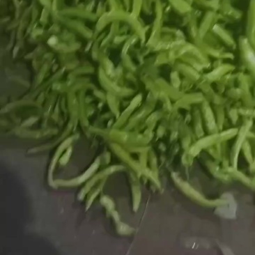 山西天镇辣椒代办