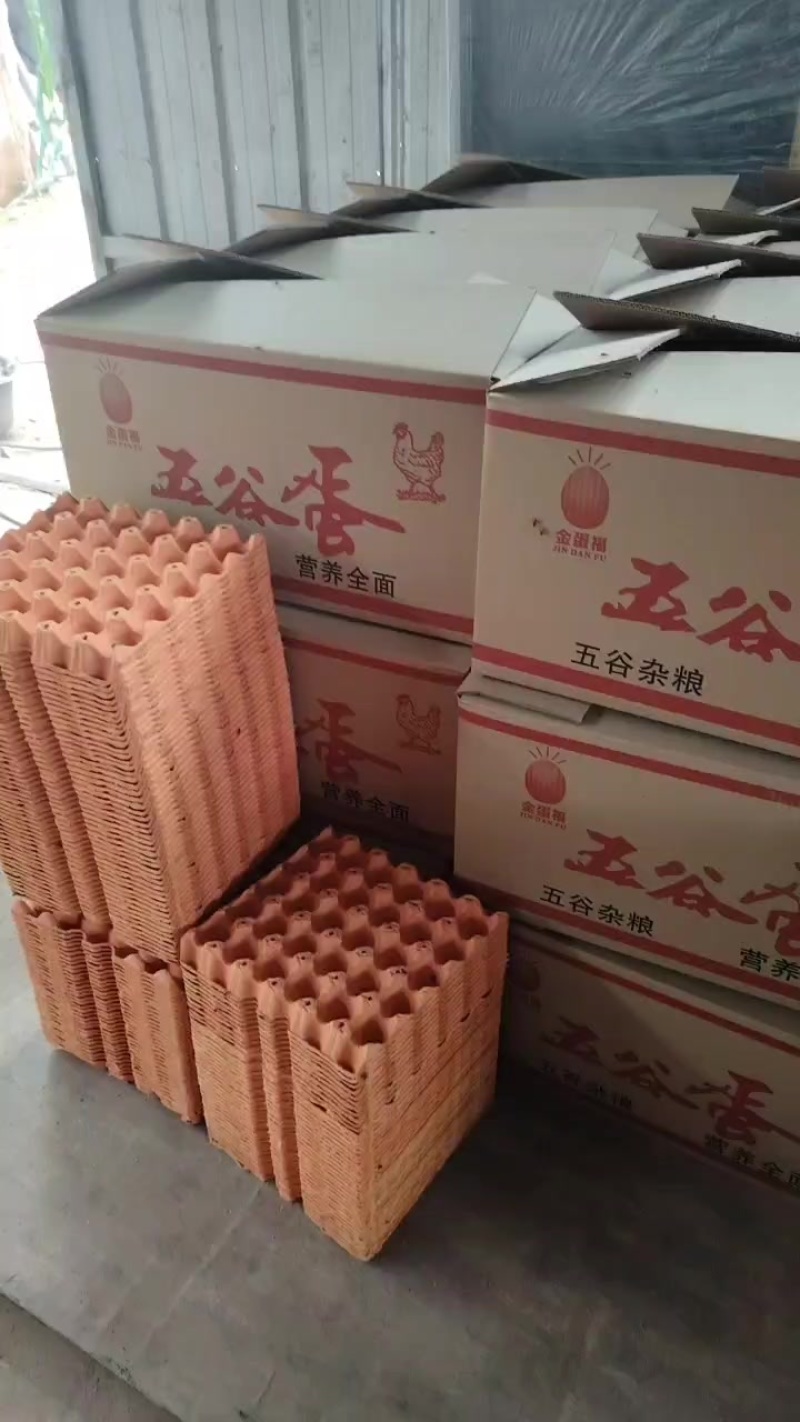 鲜鸡蛋