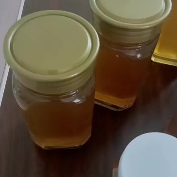 正宗土蜂蜜