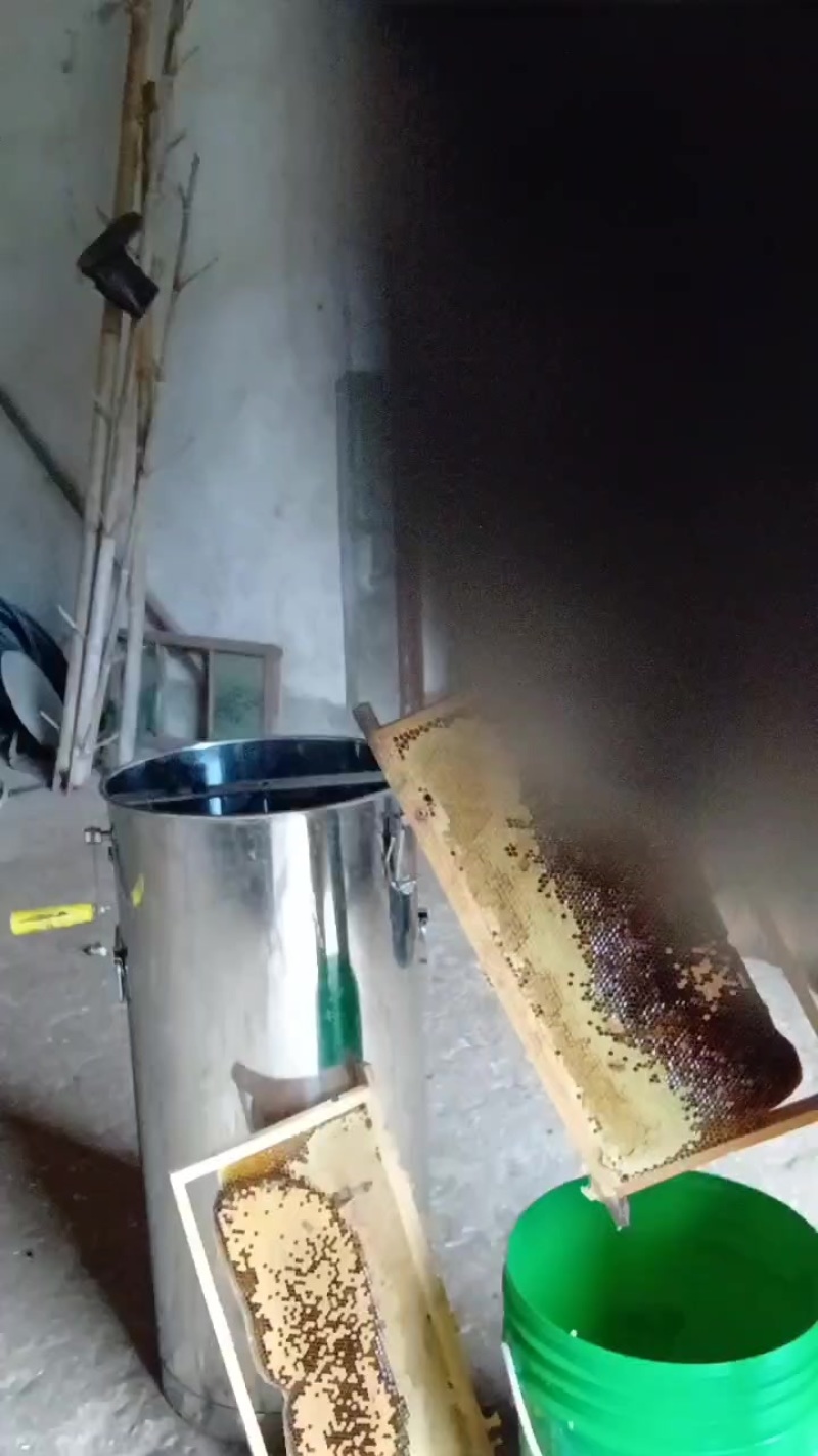 正宗土蜂蜜