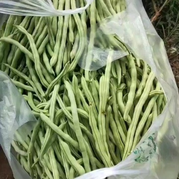 豆角