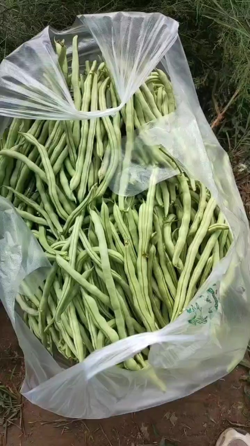 豆角