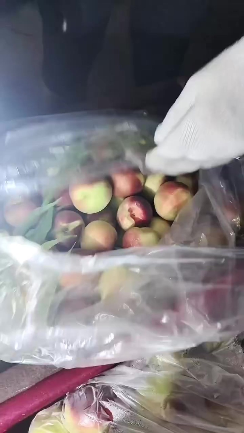 珍珠枣油桃，出库，对接各大平台，招客商，电商，支持一件代